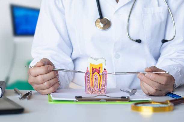 Best Walk-In Emergency Dental Services in Jacksboro, TX